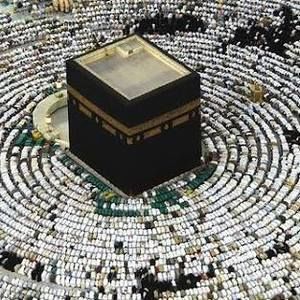 Meet your Posher, Mohammed